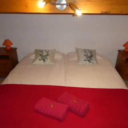 Central Hostel Chatel Auberge de jeunesse *
