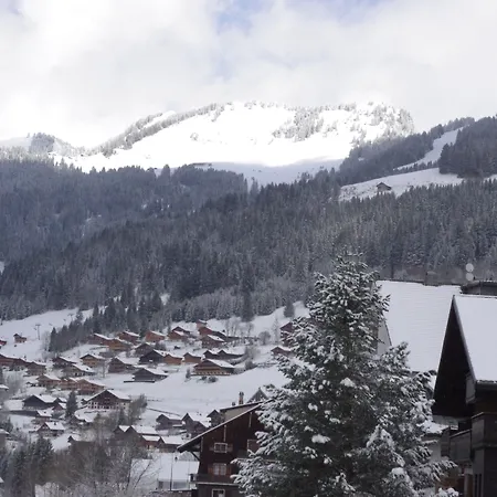 Central Hostel Chatel ホステル *