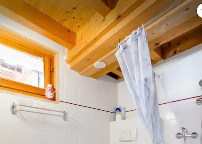 Central Hostel Chatel ホステル