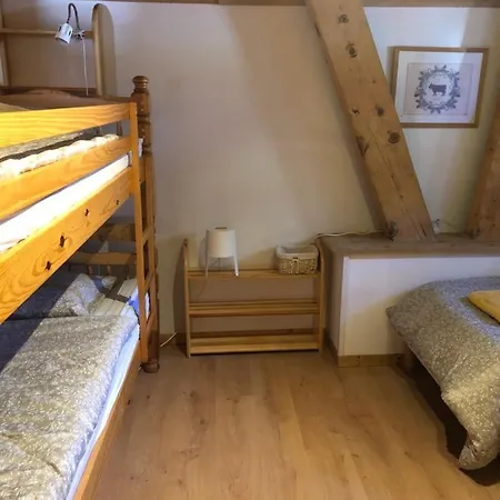 Central Hostel Chatel *