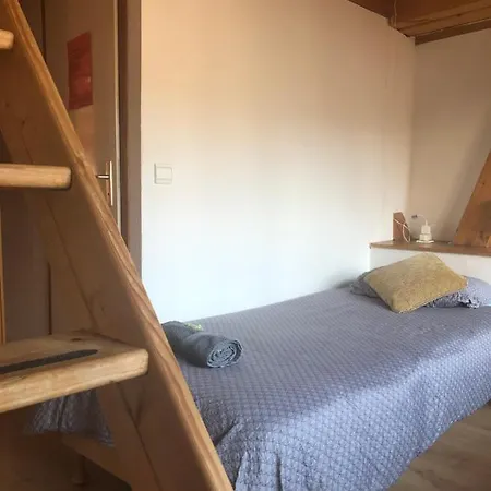 Central Hostel Chatel Hostel *