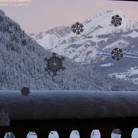 Central Hostel Chatel ホステル *