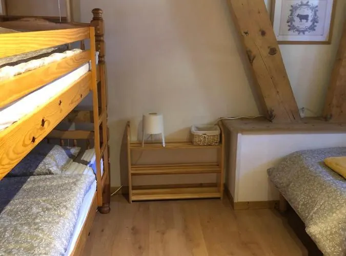 Central Hostel Chatel *