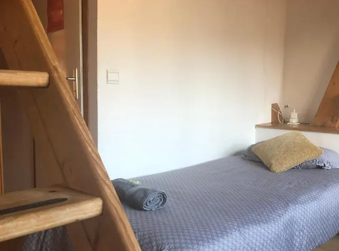 Central Hostel Chatel Ostello *