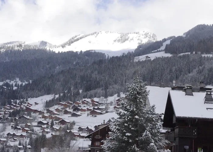 Central Hostel Chatel Ostello *